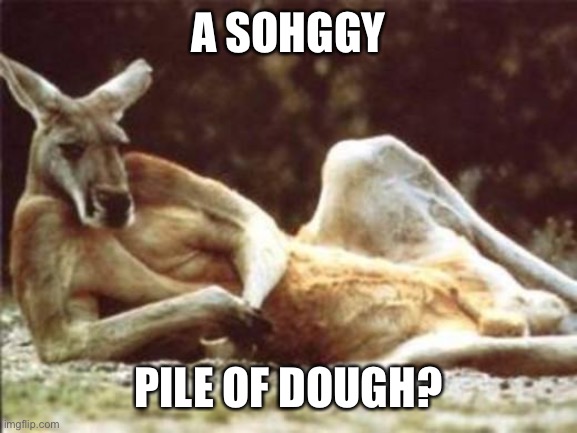 Kangaroo | A SOHGGY PILE OF DOUGH? | image tagged in kangaroo | made w/ Imgflip meme maker