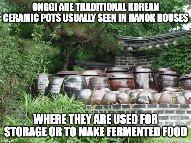 Onggi | ONGGI ARE TRADITIONAL KOREAN CERAMIC POTS USUALLY SEEN IN HANOK HOUSES; WHERE THEY ARE USED FOR STORAGE OR TO MAKE FERMENTED FOOD | image tagged in pottery,ceramic,memes | made w/ Imgflip meme maker