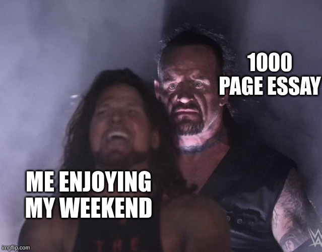 undertaker | 1000 PAGE ESSAY; ME ENJOYING MY WEEKEND | image tagged in undertaker | made w/ Imgflip meme maker