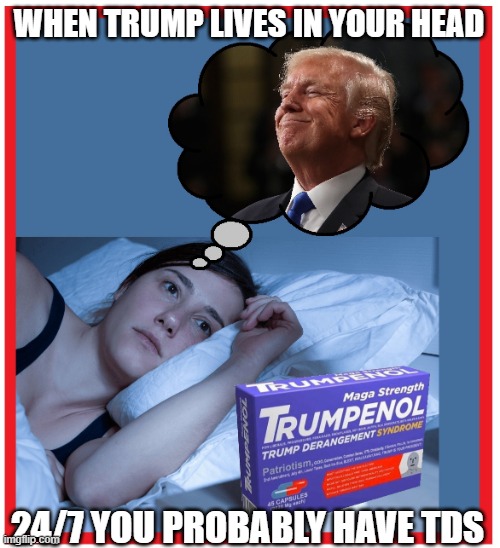 TDS | WHEN TRUMP LIVES IN YOUR HEAD; 24/7 YOU PROBABLY HAVE TDS | image tagged in tds | made w/ Imgflip meme maker