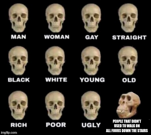 idiot skull | PEOPLE THAT DIDN'T USED TO WALK ON ALL FOURS DOWN THE STAIRS | image tagged in idiot skull | made w/ Imgflip meme maker