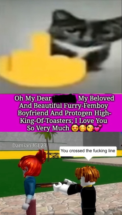 I’ve no business with furries but this is way too goddamn fucking much | You crossed the fucking line | image tagged in memes,funny,anti furry,no homo,roblox,cringe | made w/ Imgflip meme maker