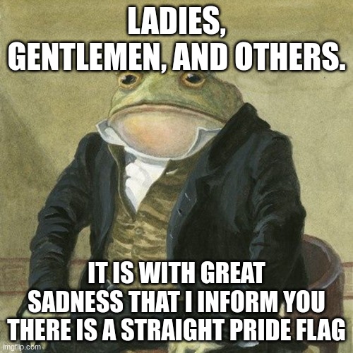 w h y | LADIES, GENTLEMEN, AND OTHERS. IT IS WITH GREAT SADNESS THAT I INFORM YOU THERE IS A STRAIGHT PRIDE FLAG | image tagged in ha ha tags go brr,you have been eternally cursed for reading the tags,thisimagehasalotoftags,secret tag | made w/ Imgflip meme maker