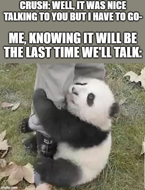 Don't leave | CRUSH: WELL, IT WAS NICE TALKING TO YOU BUT I HAVE TO GO-; ME, KNOWING IT WILL BE THE LAST TIME WE'LL TALK: | image tagged in don't leave | made w/ Imgflip meme maker