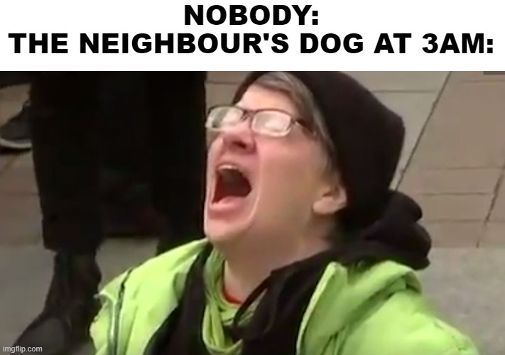 Can't sleep | NOBODY:
THE NEIGHBOUR'S DOG AT 3AM: | image tagged in screaming liberal,dog,dogs,scream,neighbors,screaming | made w/ Imgflip meme maker