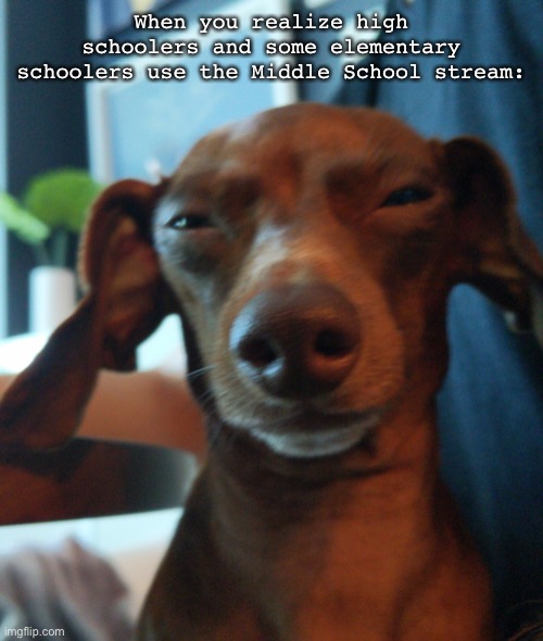 It could be any one of us | When you realize high schoolers and some elementary schoolers use the Middle School stream: | image tagged in dachshund suspicion | made w/ Imgflip meme maker