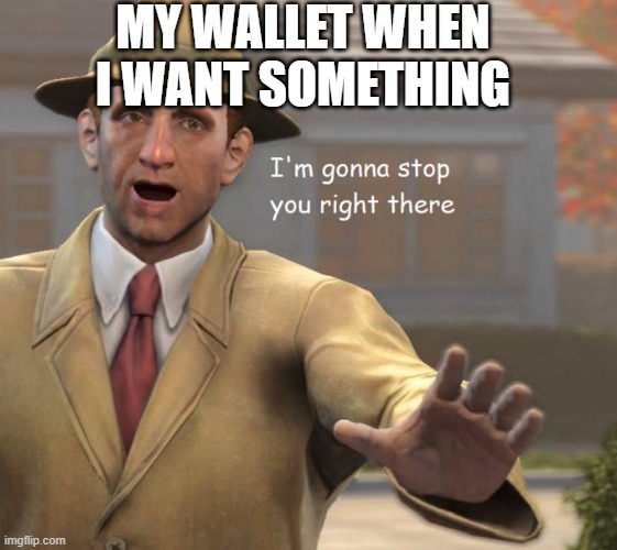im gonna stop you right there |  MY WALLET WHEN I WANT SOMETHING | image tagged in im gonna stop you right there,money,poor,wallet | made w/ Imgflip meme maker