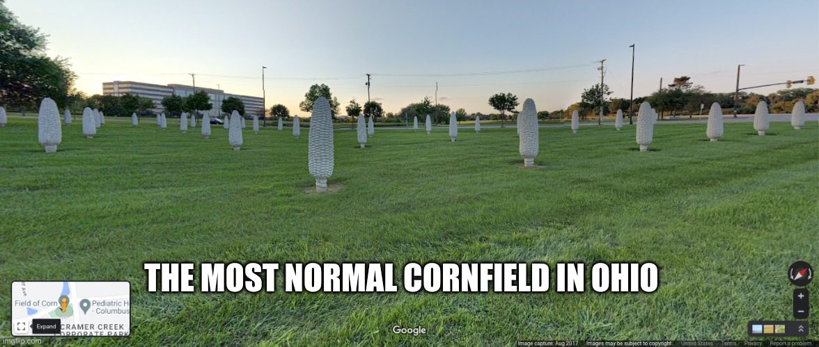 Ohio | THE MOST NORMAL CORNFIELD IN OHIO | image tagged in down in ohio,only in ohio | made w/ Imgflip meme maker