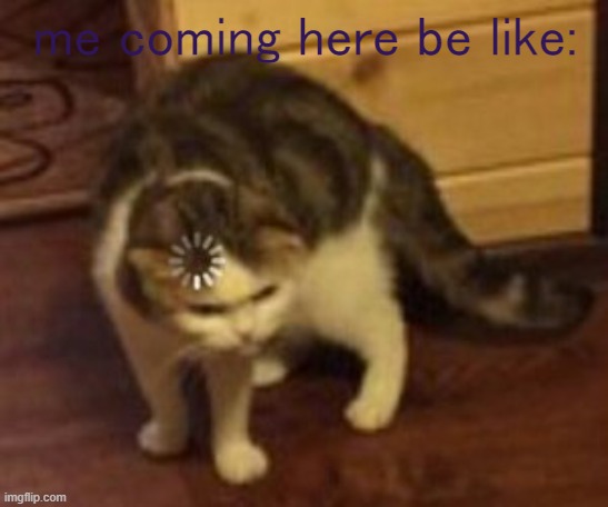 idk what this was for lol | me coming here be like: | image tagged in loading cat | made w/ Imgflip meme maker