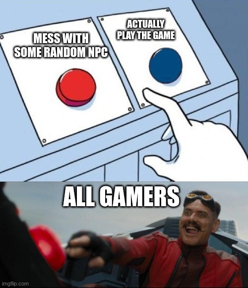 true |  ACTUALLY PLAY THE GAME; MESS WITH SOME RANDOM NPC; ALL GAMERS | image tagged in true | made w/ Imgflip meme maker