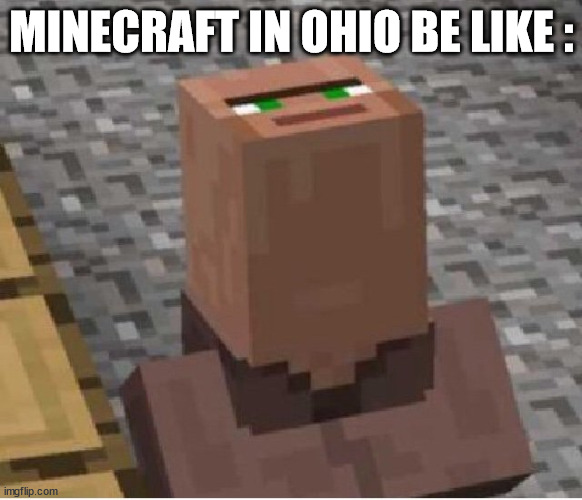 ohio | MINECRAFT IN OHIO BE LIKE : | image tagged in minecraft villager looking up | made w/ Imgflip meme maker