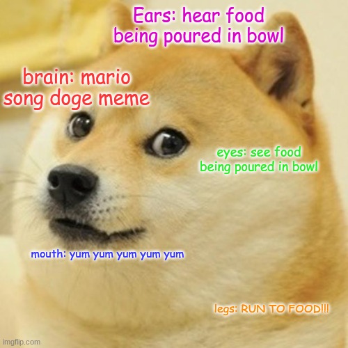 Doge | Ears: hear food being poured in bowl; brain: mario song doge meme; eyes: see food being poured in bowl; mouth: yum yum yum yum yum; legs: RUN TO FOOD!!! | image tagged in memes,doge | made w/ Imgflip meme maker
