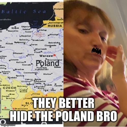 Woman, Hitler on airplane | THEY BETTER HIDE THE POLAND BRO | image tagged in funny memes,history memes | made w/ Imgflip meme maker