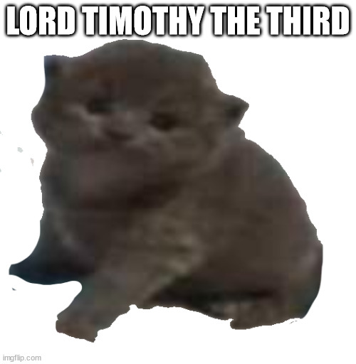 stats in comments | LORD TIMOTHY THE THIRD | image tagged in lord timothy the third | made w/ Imgflip meme maker