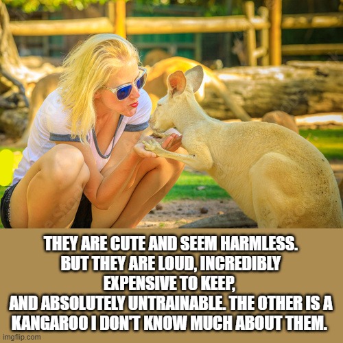 THEY ARE CUTE AND SEEM HARMLESS.
BUT THEY ARE LOUD, INCREDIBLY EXPENSIVE TO KEEP, 
AND ABSOLUTELY UNTRAINABLE. THE OTHER IS A KANGAROO I DON'T KNOW MUCH ABOUT THEM. | made w/ Imgflip meme maker