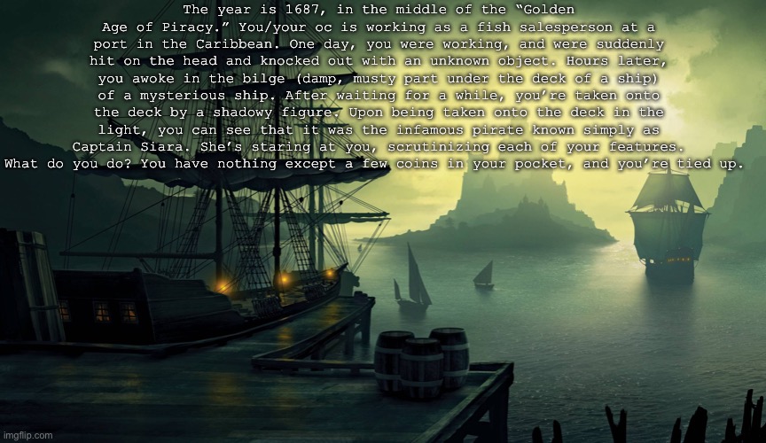 This roleplay is very formal, so please respect the rules (in tags). Please don’t take this as being too harsh, the most importa | The year is 1687, in the middle of the “Golden Age of Piracy.” You/your oc is working as a fish salesperson at a port in the Caribbean. One day, you were working, and were suddenly hit on the head and knocked out with an unknown object. Hours later, you awoke in the bilge (damp, musty part under the deck of a ship) of a mysterious ship. After waiting for a while, you’re taken onto the deck by a shadowy figure. Upon being taken onto the deck in the light, you can see that it was the infamous pirate known simply as Captain Siara. She’s staring at you, scrutinizing each of your features. What do you do? You have nothing except a few coins in your pocket, and you’re tied up. | image tagged in no joke ocs,no op ocs,ocs must be human with no powers,most importantly have fun | made w/ Imgflip meme maker