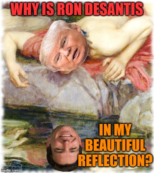 Narcissist | WHY IS RON DESANTIS IN MY BEAUTIFUL REFLECTION? | image tagged in narcissist | made w/ Imgflip meme maker