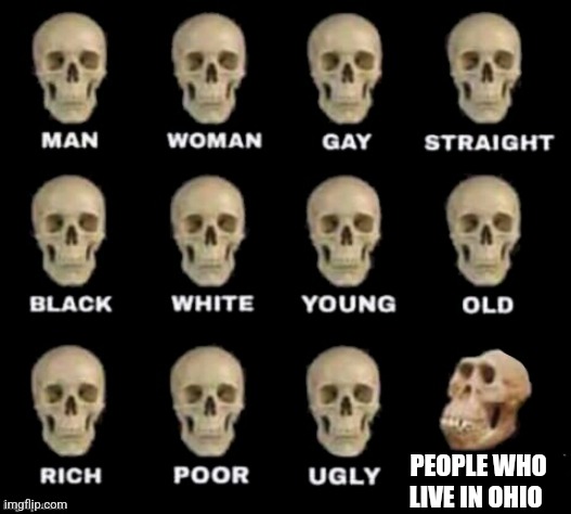 idiot skull | PEOPLE WHO LIVE IN OHIO | image tagged in idiot skull | made w/ Imgflip meme maker