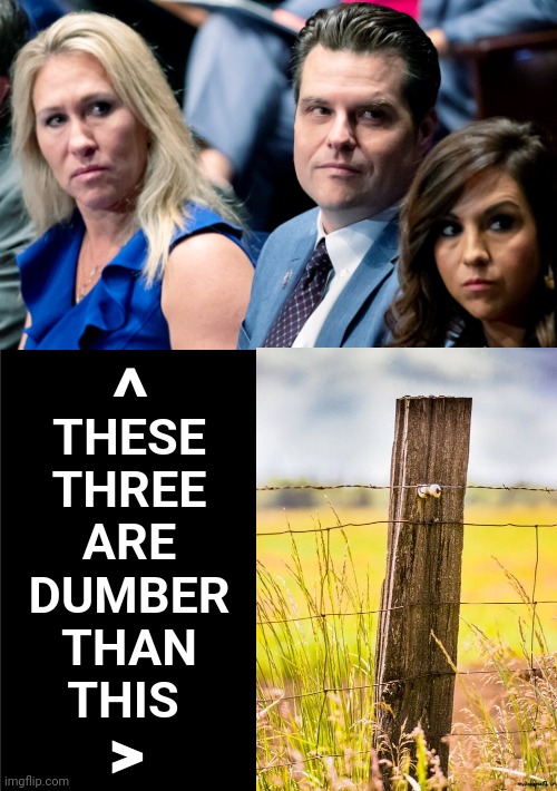 Boebert, Gaetz, Greene: Unholy Trinity of Twits | THESE THREE
ARE
DUMBER
THAN
THIS; ^; > | image tagged in three stooges,idiots,post,dumb and dumber | made w/ Imgflip meme maker