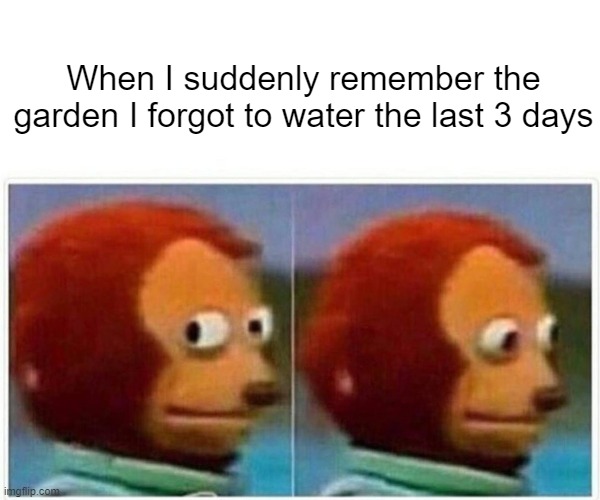 gardeners with bad memories unite | When I suddenly remember the garden I forgot to water the last 3 days | image tagged in memes,monkey puppet | made w/ Imgflip meme maker