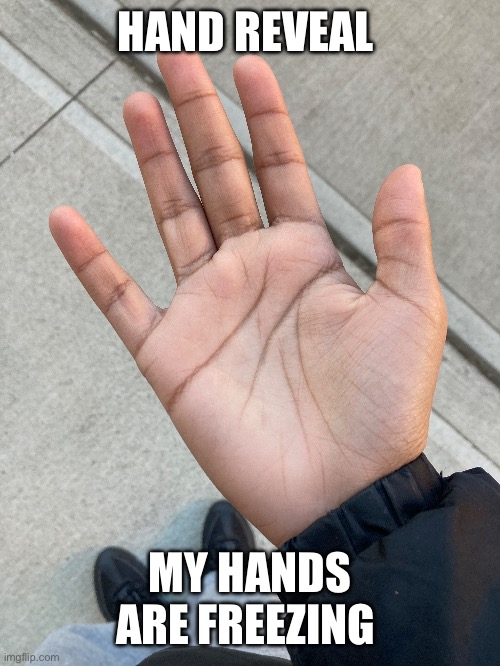 its so cold outside | HAND REVEAL; MY HANDS ARE FREEZING | made w/ Imgflip meme maker