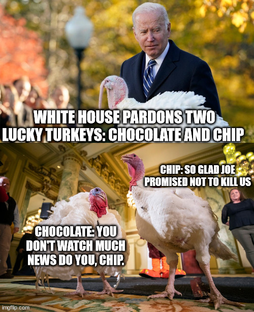 WHITE HOUSE PARDONS TWO LUCKY TURKEYS: CHOCOLATE AND CHIP; CHIP: SO GLAD JOE PROMISED NOT TO KILL US; CHOCOLATE: YOU DON'T WATCH MUCH NEWS DO YOU, CHIP. | image tagged in joe biden,thanksgiving,promises | made w/ Imgflip meme maker