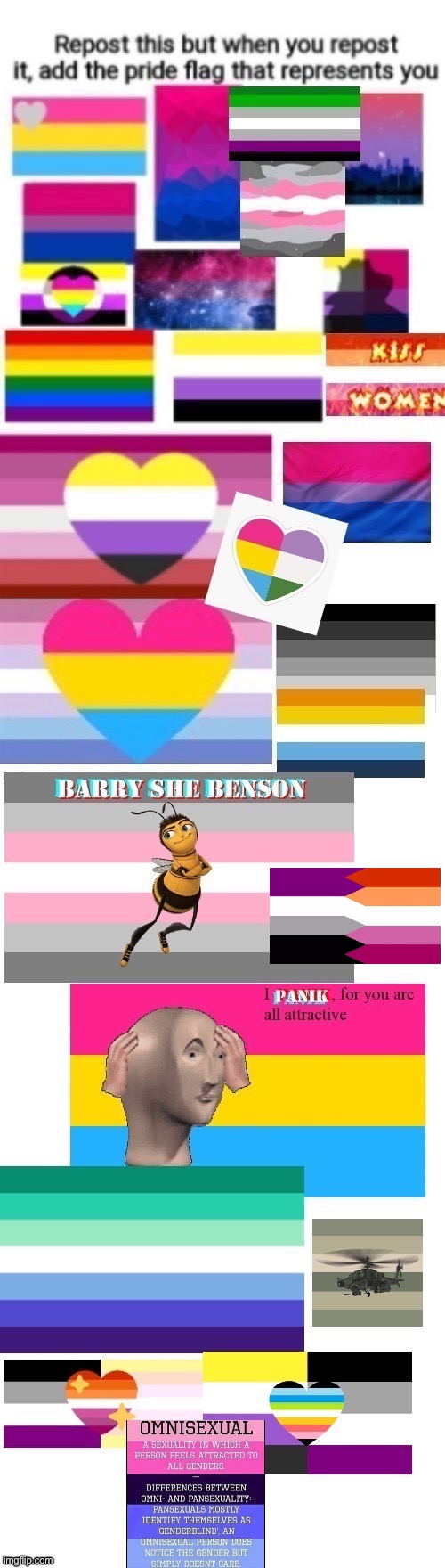ace/lesbian next to the demigirl bee | image tagged in gay,flag | made w/ Imgflip meme maker