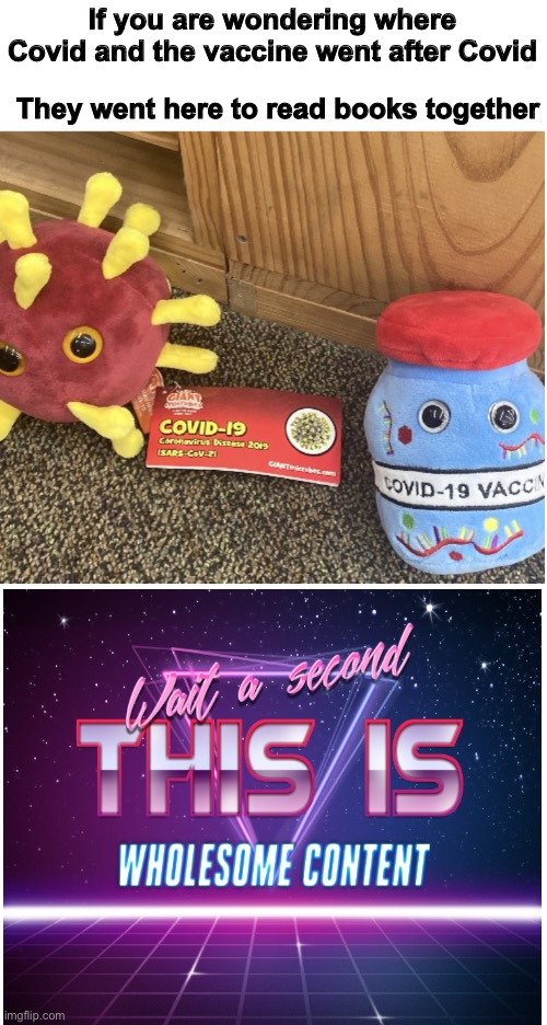 They’re just chillin’ | If you are wondering where Covid and the vaccine went after Covid; They went here to read books together | image tagged in covid and vaccine chillin | made w/ Imgflip meme maker