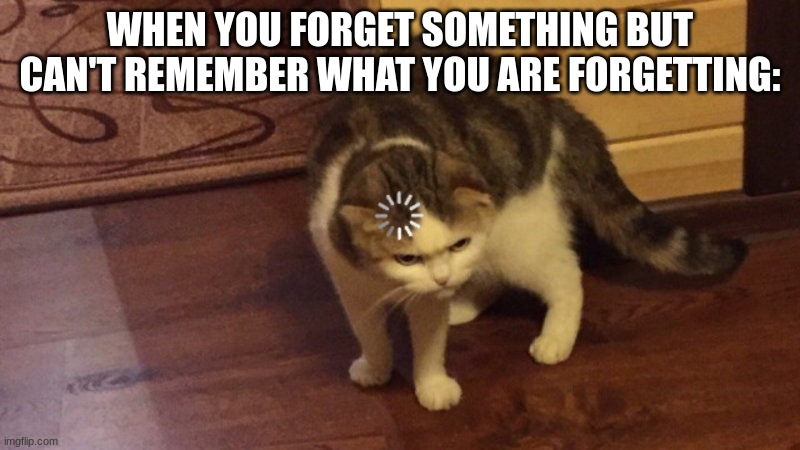 agreed? | WHEN YOU FORGET SOMETHING BUT CAN'T REMEMBER WHAT YOU ARE FORGETTING: | image tagged in relatable | made w/ Imgflip meme maker