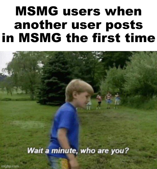 Wait a minute, who are you? | MSMG users when another user posts in MSMG the first time | image tagged in wait a minute who are you | made w/ Imgflip meme maker