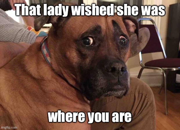 Oh crap dog | That lady wished she was where you are | image tagged in oh crap dog | made w/ Imgflip meme maker