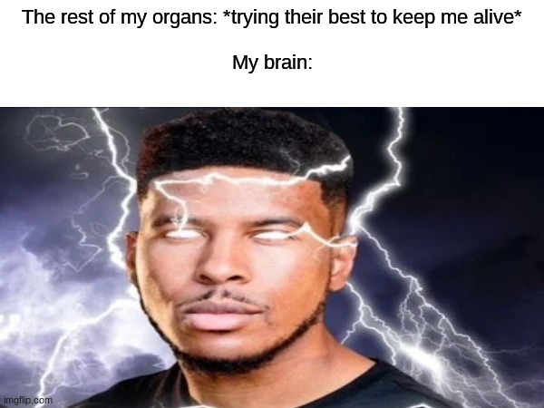 haha yes |  The rest of my organs: *trying their best to keep me alive*
  
My brain: | image tagged in you should kill yourself now | made w/ Imgflip meme maker
