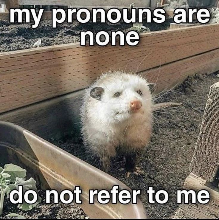 image tagged in memes,funny | made w/ Imgflip meme maker