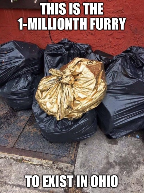 Golden Trash Bag | THIS IS THE 1-MILLIONTH FURRY TO EXIST IN OHIO | image tagged in golden trash bag | made w/ Imgflip meme maker