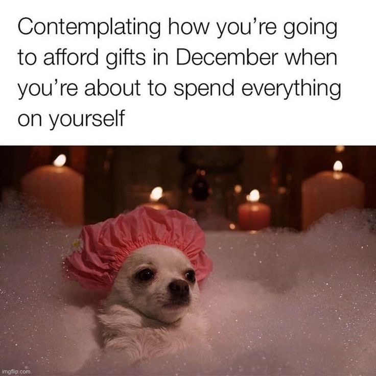 image tagged in memes,funny | made w/ Imgflip meme maker