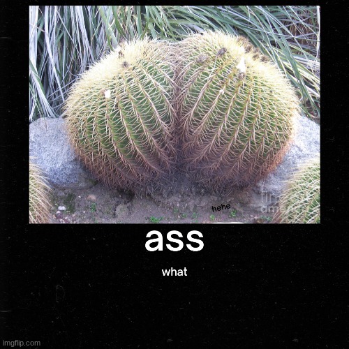ass | image tagged in hold up | made w/ Imgflip meme maker