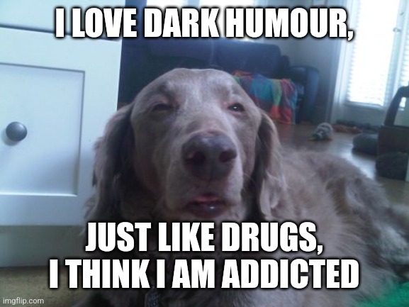 High Dog Meme | I LOVE DARK HUMOUR, JUST LIKE DRUGS, I THINK I AM ADDICTED | image tagged in memes,high dog,drugs,dog,addiction | made w/ Imgflip meme maker