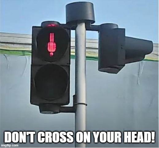 Heads Down | DON'T CROSS ON YOUR HEAD! | image tagged in you had one job | made w/ Imgflip meme maker