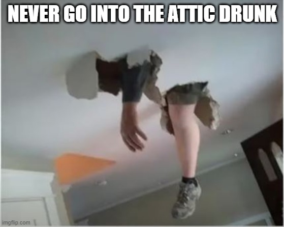 Look Out Below | NEVER GO INTO THE ATTIC DRUNK | image tagged in you had one job | made w/ Imgflip meme maker