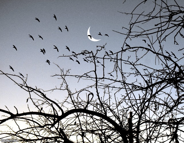 Morning moon 11-21-22 | made w/ Imgflip meme maker