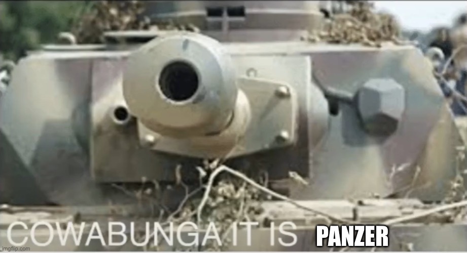 Panzer cowabunga it is | PANZER | image tagged in panzer cowabunga it is | made w/ Imgflip meme maker