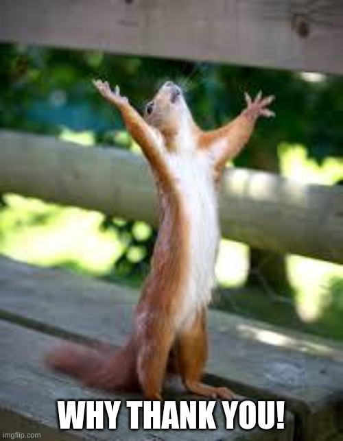 Praise Squirrel | WHY THANK YOU! | image tagged in praise squirrel | made w/ Imgflip meme maker