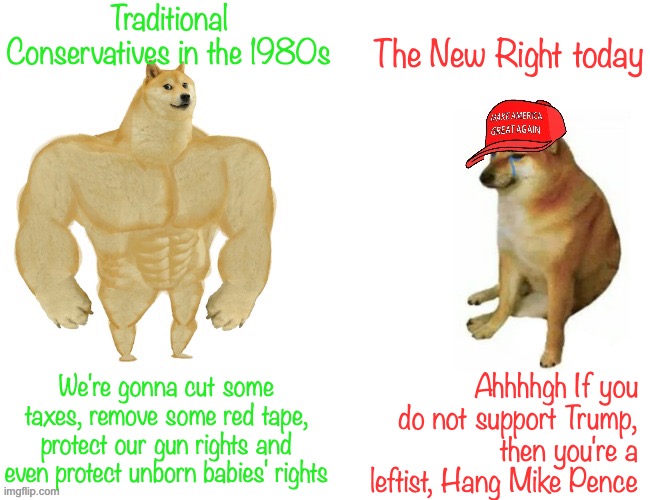 Reject the Fascist MAGA movement, return to Neoconservatism | Traditional Conservatives in the 1980s; The New Right today; Ahhhhgh If you do not support Trump, then you're a leftist, Hang Mike Pence; We're gonna cut some taxes, remove some red tape, protect our gun rights and even protect unborn babies' rights | image tagged in buff doge vs maga cheems,traditional,conservatives,maga,new right,is dangerous | made w/ Imgflip meme maker