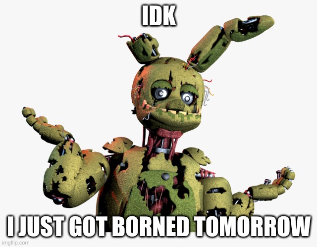 derpy springtrap | IDK I JUST GOT BORNED TOMORROW | image tagged in derpy springtrap | made w/ Imgflip meme maker