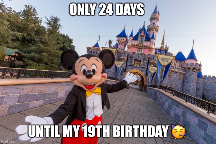 Only 24 Days until my 19th Birthday | ONLY 24 DAYS; UNTIL MY 19TH BIRTHDAY 🥳 | image tagged in disney,mickey mouse in disneyland | made w/ Imgflip meme maker