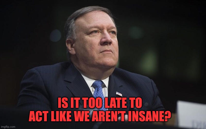 Mike Pompeo | IS IT TOO LATE TO ACT LIKE WE AREN’T INSANE? | image tagged in mike pompeo | made w/ Imgflip meme maker