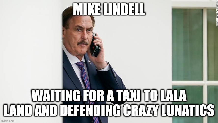 Mike Lindell calls for a Taxi | MIKE LINDELL; WAITING FOR A TAXI TO LALA LAND AND DEFENDING CRAZY LUNATICS | image tagged in mike lindell,donald trump approves,sarah palin | made w/ Imgflip meme maker
