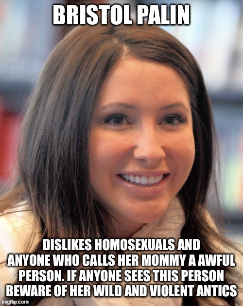 Bristol Palin a former political icon | image tagged in bristol palin,dangerous,donald trump approves,2008 | made w/ Imgflip meme maker