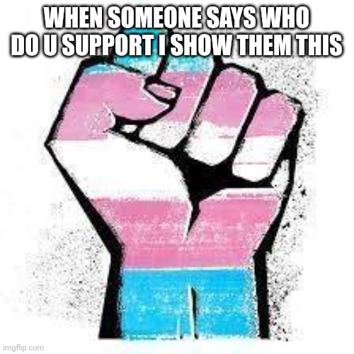 Transgender support | WHEN SOMEONE SAYS WHO DO U SUPPORT I SHOW THEM THIS | image tagged in transgender equality now | made w/ Imgflip meme maker