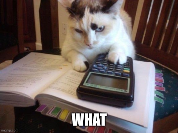 Cat calculator | WHAT | image tagged in cat calculator | made w/ Imgflip meme maker